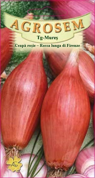 Ceapă roșie - Rossa lunga di Firenze