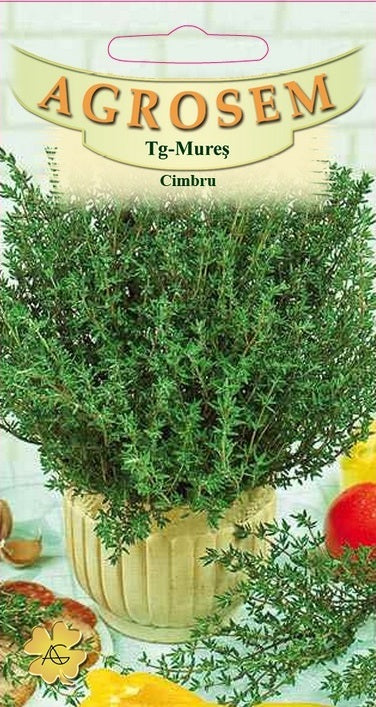 Cimbru