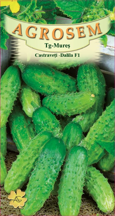 Castraveți Dalila F1