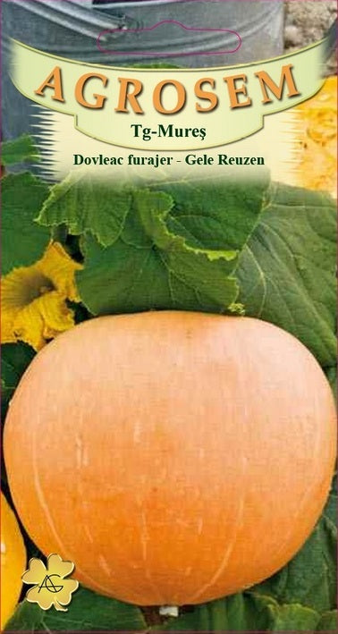 Dovleac furajer Gele Reuzen
