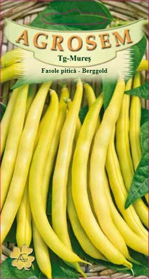 Fasole pitică Berggold