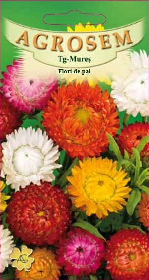 Flori de pai - mixtură