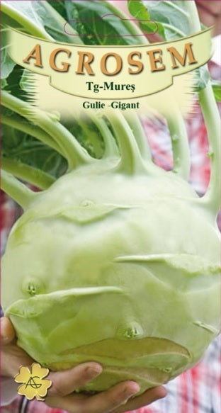 Gulie Gigant