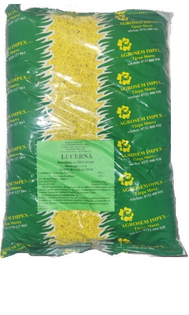 Lucernă