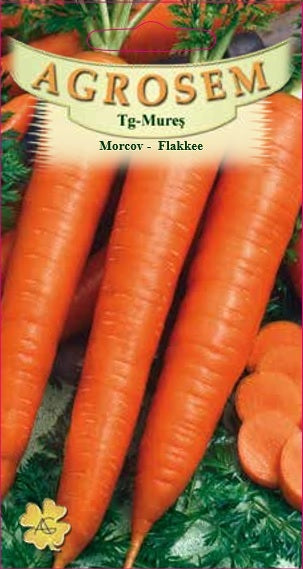 Morcov Flakkee