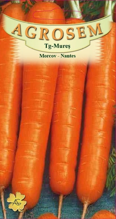 Morcov Nantes