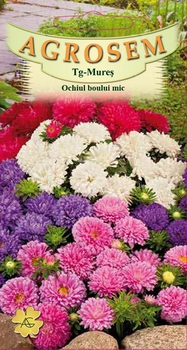 Ochiul boului mic - mixtură