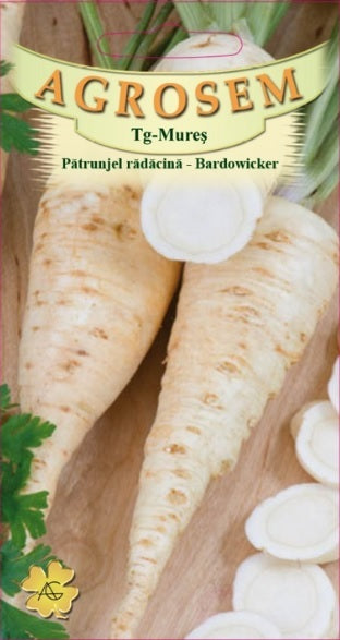 Pătrunjel rădăcină Bardowicker