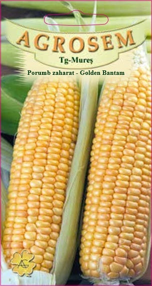 Porumb zaharat Golden Bantam