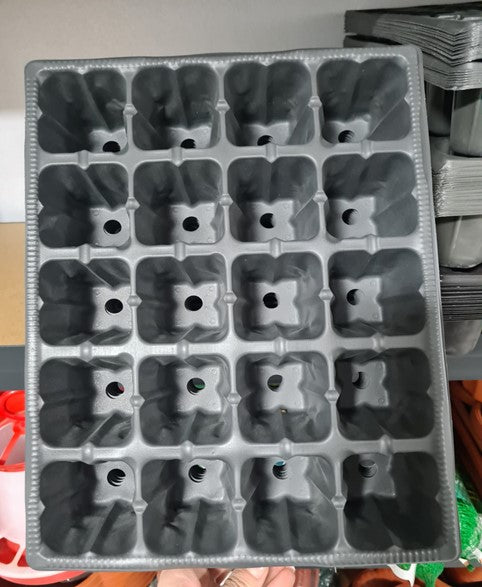 Tavi alveolare