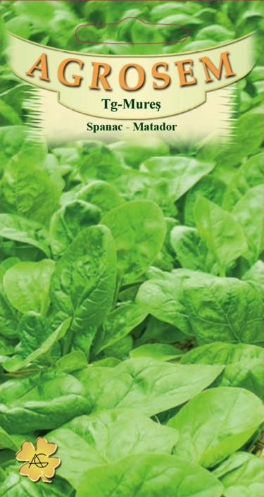 Spanac Matador