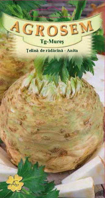 Țelină de rădăcină Anita