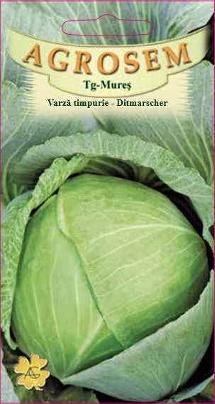 Varză timpurie - Ditmarscher