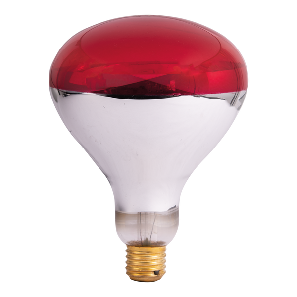 BEC INFRAROSU E27 150W