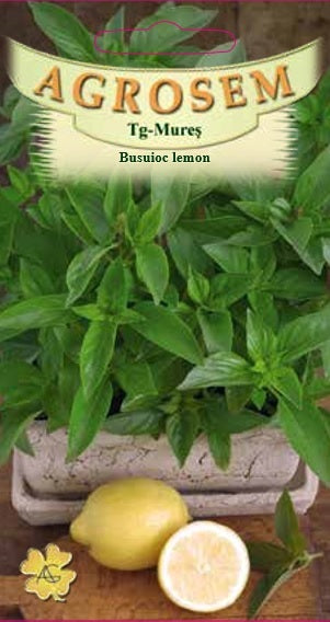 Busuioc lemon