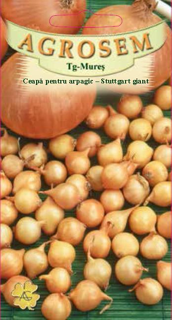 Ceapă pentru arpagis Stuttgart giant