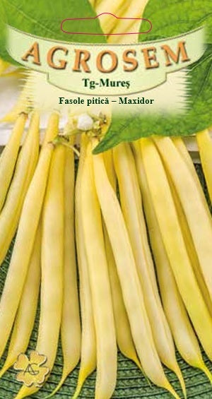 Fasole pitică Maxidor