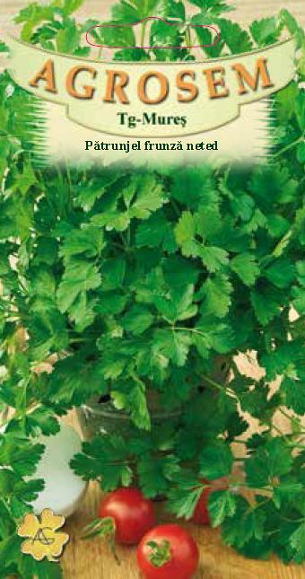 Pătrunjel frunză neted