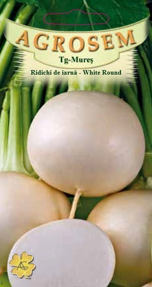 Ridichi de iarnă - White Round