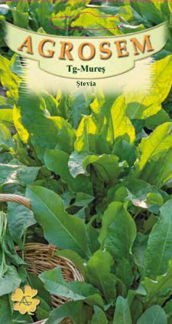 Ștevia