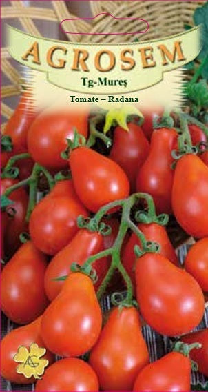 Tomate Radana
