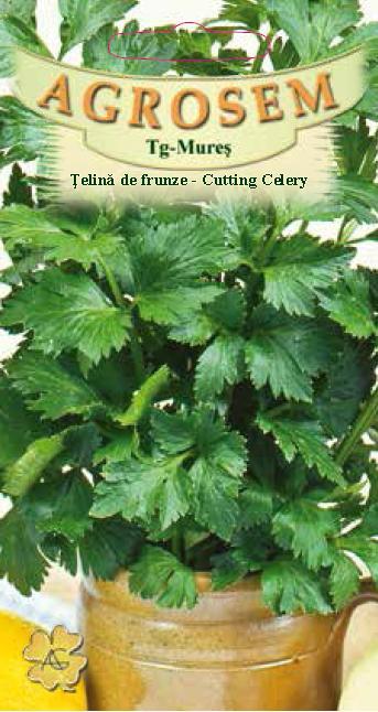 Țelină de frunze Cutting Celery